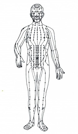 Meridians Meridians